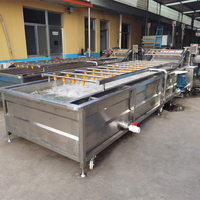 Groentereinigingsmachine Belwasmachine Aardappelwasmachine Fruitwasmachine Groentewasmachine