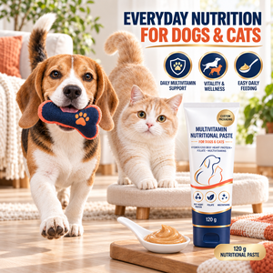<span class=keywords><strong>Pasta</strong></span> Multivitaminica Nutriente Personalizzabile OEM <span class=keywords><strong>per</strong></span> Cani e <span class=keywords><strong>Gatti</strong></span> con Proteine di Cuore di Manzo - Contatta il Fornitore - Product Image 3