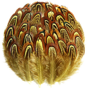 Plumes de <span class=keywords><strong>cou</strong></span> d'amande en gros, plumes de queue de poulet sauvage nettoyées en vrac, artisanat, plumes de carnaval - Product Image 1