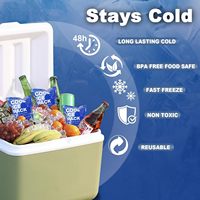 Packs de glace sèche personnalisés avec logo pour aliments, portables et jetables, et packs de glace en gel avec logo personnalisé pour aliments congelés