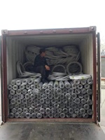 Malla de Alambre Cuadrada Soldada de Hierro Galvanizado de Calibre 12, 2x2, Recubierta de Negro, para Corte de Ganado, de Dingzhou Five-Star Metals