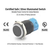 Siyah Basmalı Düğme Anahtarı 12/16/19/22mm 5 Pinli Işıklı Led Işıklı Metal Düz Anlık Anahtarlar 1NO1NC 220V