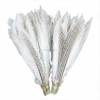 Plumes de faisan argenté naturelles, longues, en vrac, pour décoration de costumes, vente en gros