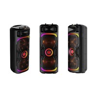 Haut-parleur portable avec double haut-parleur de 8 pouces, XLR, RCA, USB, AUX, LED RGB, étanche, en plastique, sans fil, alimenté par batterie, 10-30W, écran d'affichage