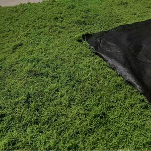 Arrangement de fleurs de simulation de mousse verte artificielle pour Noël Pâques Nouvel An Célébration <span class=keywords><strong>Faux</strong></span> Matériel Affichage de fleurs - Product Image 1