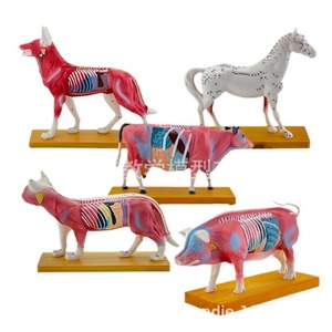 Modèles d'acupuncture corporelle pour chien, chat, cochon, vache et cheval ; points d'acupuncture canine ; acupuncture animale ; enseignement vétérinaire - Product Image 1