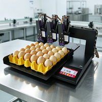 Máquina Codificadora de Huevos de Escritorio, 3 Cabezales, Operación con Pantalla Táctil, para Productores de Huevos Frescos, Taller de Procesamiento de Huevos a Pequeña Escala