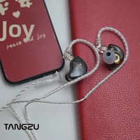Écouteurs intra-auriculaires filaires TANGZU Wan'er SG HiFi avec haut-parleur dynamique de 10 mm, basses profondes, moniteur IEM et micro