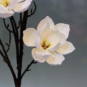 Mousse Capiz Faux Magnolia Feuille Tiges Haute Qualité Artificielle <span class=keywords><strong>Cymbidium</strong></span> Orchidée Fleurs Noël Photographie Paysage Prop - Product Image 6