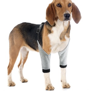 Genouillères pour chien, protections pour pattes avant, grises, soutien chaud pour les articulations, attelle pour chiens - Product Image 5