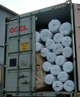 Cuerda de PE Trenzada de 12 mm a Precio Económico, Rollo de 100 m, Cuerda de Plástico Trenzada Multiusos Resistente para Agricultura y Uso en Exteriores