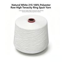 OEM Factory Price 21S Ring Spun Twist 100% Polyester Yarn High Tenacity White Raw Material Textile Weaving Knitted Products