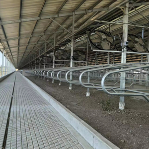 Box per Mucche per Uso Agricolo, Produzione Cinese, Vendita all'Ingrosso, Zincato a Caldo, Personalizzabile, Box Doppio per Mucche con Colonne - Product Image 6