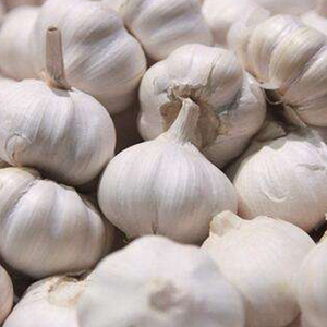 Çin'den Yeni Mahsul Organik Taze Sarımsak Beyaz Mor Soyulmuş Kuru Sarımsak Gıda Kullanımı İçin - Product Image 4