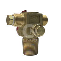 Vanne de cylindre CNGO certifiée ISO9001:2015, conception anti-erreur de connexion QF-T1, contrôleur de niveau d'eau, support OEM 24/7 pendant 3 ans, livraison rapide