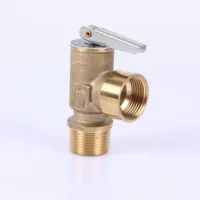 high quality gas water heater pressure cooker safety valve