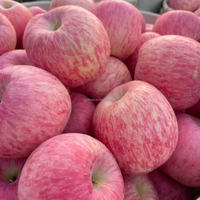 Chinese Shandong verse Fuji Red Delicious Gala appels met zoete smaak, sappig, vitamine-rijk, graad 1