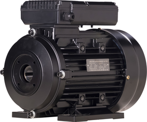 Bơm động cơ trục rỗng động cơ 3KW 4HP bắt đầu tụ điện Chạy tụ - Product Image 3