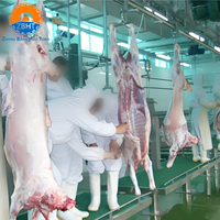Proyecto Integral de Matadero Automatizado para Ovejas y Cabras, Planta de Procesamiento de Sacrificio, Solución Llave en Mano, Certificación CE