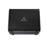 Amplifier Gitar Akustik 280W Efek Digital untuk Input USB 6.0 Waktu Operasi 4-8 Jam