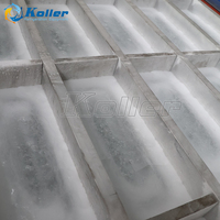 Machine à glace en blocs à évaporation directe Koller 2 tonnes/jour DK20