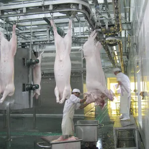 Iyi fiyat Modern Abattoir hattı domuz et işleme kesme kasap için kesim ekipmanları Sow