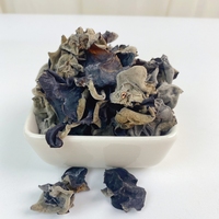 Hongo negro seco de alta calidad al precio más barato al por mayor para hacer comida o sopa China Fungus