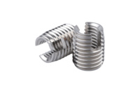 Precision Machined Stainless Steel Durable Metalpre-Drilled Metric Coarse Thread DIN Standard Fully Threaded Insert Self-Tapping