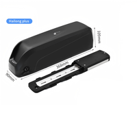 HaiLong Plus Batterie 48V