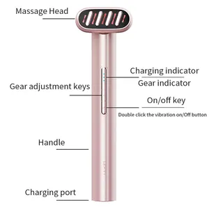 New Trending Products Portable Skincare Wand Beauty Device Red Light Therapy Blue Therapy Skin Care Devices