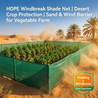 Filet pare-vent HDPE pour clôture, protection solaire, région désertique aride, ferme maraîchère, barrière contre le sable et le vent, double fonction