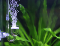 Ensemble de Mini diffuseur de CO2 en verre pour Aquarium