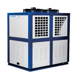 -18度以下冷室制冷机组用带风冷压缩机的瑞雪箱式冷凝机组