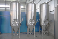 Fermenteur Conique Enrobé 1BBL 3BBL 5BBL 10BBL avec Roulement et Moteur pour Système de Traitement de l'Alcool de Microbrasserie