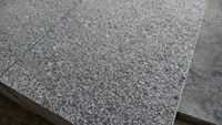 Escaliers en granit gris foncé naturel sur mesure G654 Finition flammée Carreaux d'extérieur pour utilisation extérieure Pavage en granit 50 mm