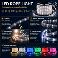 Nouveau produit, décoration de vacances en plein air, guirlande lumineuse LED étanche IP65 de 100 m