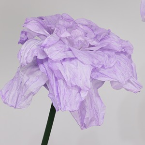 W-55 Artículos de Fiesta Nuevos, <span class=keywords><strong>Bolas</strong></span> de Flores Grandes, Flores de <span class=keywords><strong>Papel</strong></span> Crepé para Decoración de Paredes, Decoración de Fiestas de Cumpleaños y Bodas - Product Image 5
