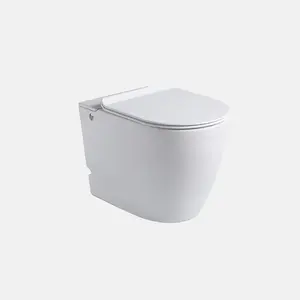 Factory Supplier Cheap Price Toilet White Color Water Saving Ceramic Wall Mounted Ceramic Toilet smart useful toilet