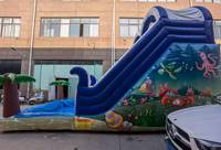 Toboggan aquatique gonflable géant en PVC avec piscine à jets d'eau, toboggan de parc aquatique extérieur pour enfants et adultes, amusement estival en plein air