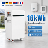 Pack de batteries LiFePO4 51,2 V BMS 300 Ah 314 Ah 15 kWh 16 kWh 20 kWh, Batteries de stockage d'énergie solaire 5 kW Lithium-Ion 48 V