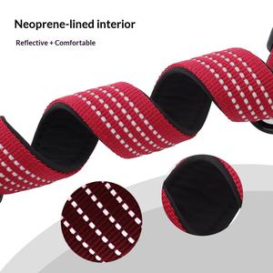 's Nieuwe reflecterende comfortabele nylon halsband voor middelgrote en grote honden die 's nachts wandelen - Product Image 2