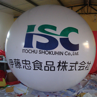 Ballon publicitaire gonflable avec lumières LED, logo personnalisé pour événements extérieurs, défilés commerciaux