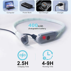 Collar y Correa para Perro LED de Silicona Recargable, con Luces Intermitentes, Accesorios de Seguridad para Mascotas, Personalizado con Rayas - Product Image 3