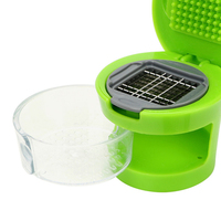Mini presse-ail et hachoir à gingembre manuel avec récipient de rangement, coupe-ail et légumes pour cuisine
