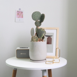 <span class=keywords><strong>Pot</strong></span> <span class=keywords><strong>de</strong></span> <span class=keywords><strong>fleur</strong></span> en ciment avec soucoupe pour décoration <span class=keywords><strong>de</strong></span> jardin <span class=keywords><strong>de</strong></span> maison Design moderne forme ronde <span class=keywords><strong>grande</strong></span> <span class=keywords><strong>taille</strong></span> utilisé avec <span class=keywords><strong>fleur</strong></span>/plante verte décorative - Product Image 6