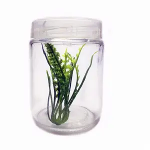 240ml Plant tissue culture glass jar with plastic lid