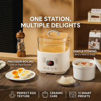 Cuiseur à œufs électrique automatique, cuiseur vapeur multifonctionnel, appareil de cuisine avec minuterie intelligente, boîtier en plastique