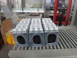 Fabricant de machines d'emballage sous film rétractable pour bocaux, <span class=keywords><strong>machine</strong></span> d'emballage sous film rétractable pour bouteilles, <span class=keywords><strong>machine</strong></span> d'emballage sous film rétractable pour canettes - Product Image 6
