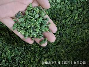 Chá de Folha de Amora Crua AD 100% Natural Orgânico Seco, Chá de Erva Única Tianbai 500g Verde para Saúde e Bem-Estar - Product Image 2