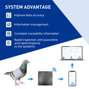 Rfid gia cầm hệ thống quản lý cho gà/vịt/foose/Pigeon chân vòng RFID <span class=keywords><strong>Reader</strong></span> phần mềm vòng chân quản lý - Product Image 5